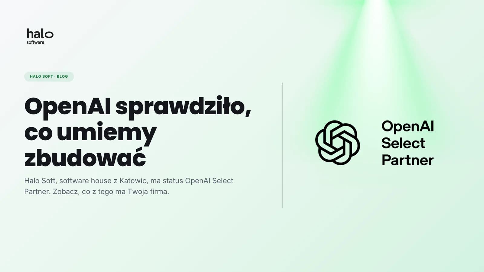 Halo Soft jest teraz OpenAI Select Partner. Co to znaczy dla firm w Polsce