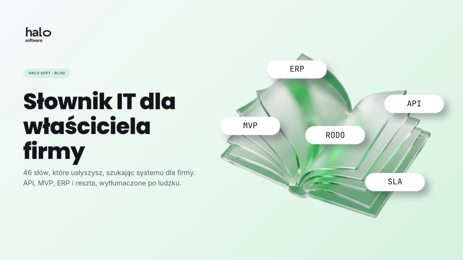 Słownik IT dla właściciela firmy: 46 słów, które usłyszysz od software house'u